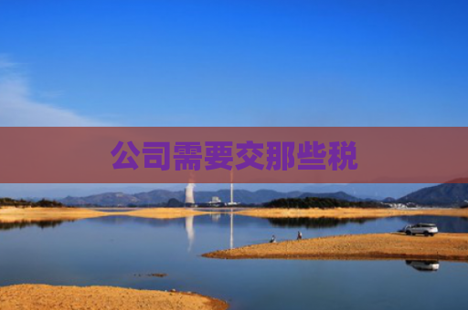 公司需要交那些税