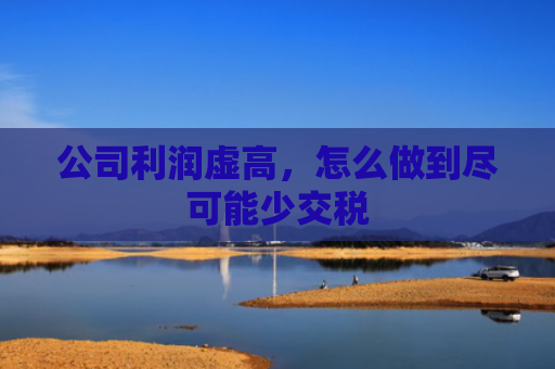 公司利润虚高，怎么做到尽可能少交税